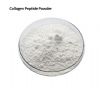 porcine collagen peptide